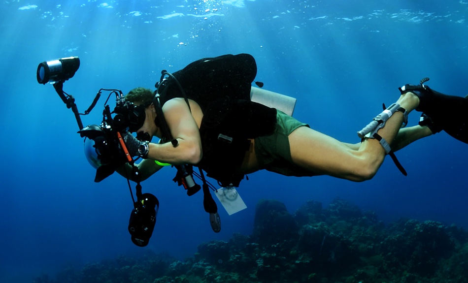 Dive Odyssey: Behind The Scenes, 45% OFF